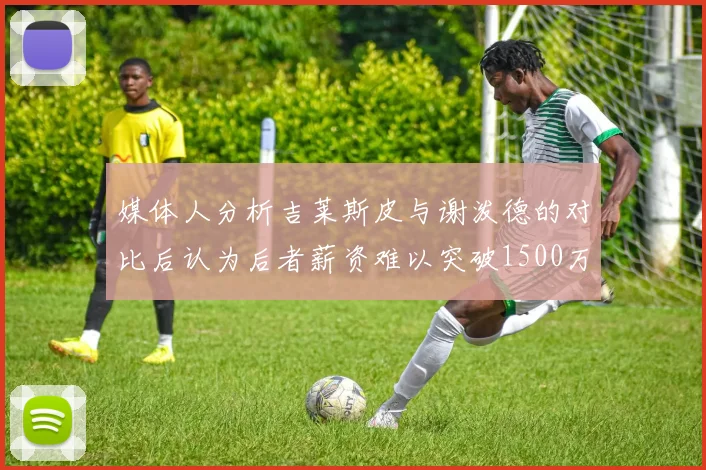 媒体人分析吉莱斯皮与谢泼德的对比后认为后者薪资难以突破1500万