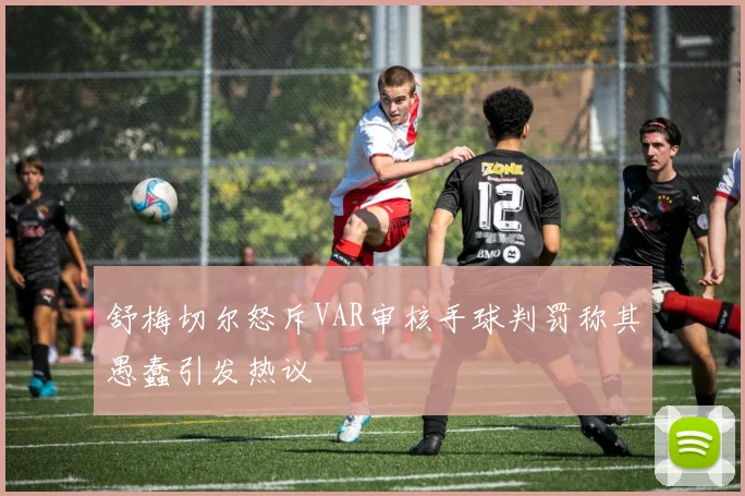 舒梅切尔怒斥VAR审核手球判罚称其愚蠢引发热议